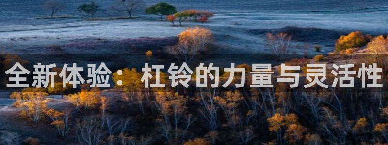 意昂体育4招商电话是多少