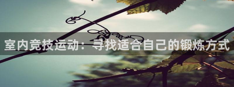 意昂体育4招商电话地址是多少：室内竞技运动：寻找适合