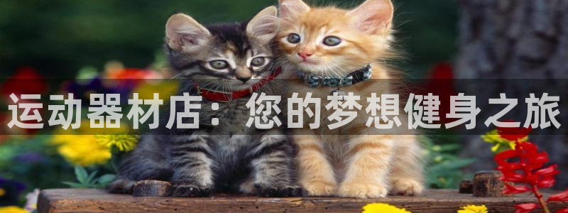意昂4集团logo