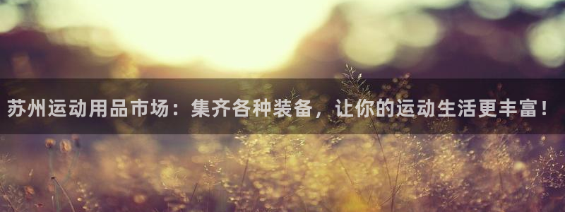 意昂4娱乐是那个系列的台子：苏州运动用品市场：集齐各