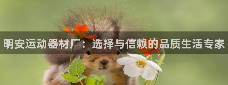 意昂体育4平台注册流程视频：明安运动器材厂：选择与信赖的品质