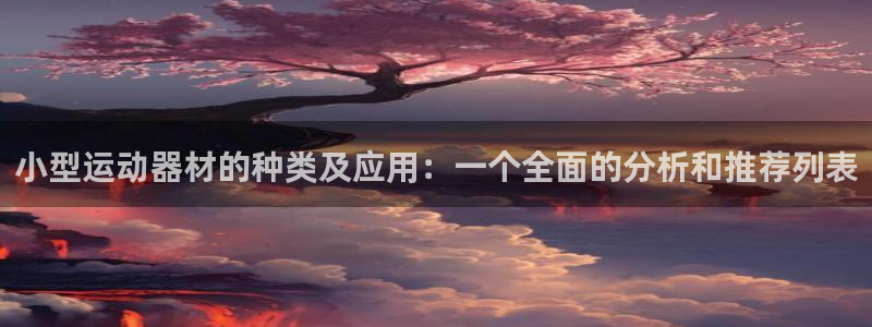 意昂4娱乐首页官网下载：小型运动器材的种类及应用：一个全面的
