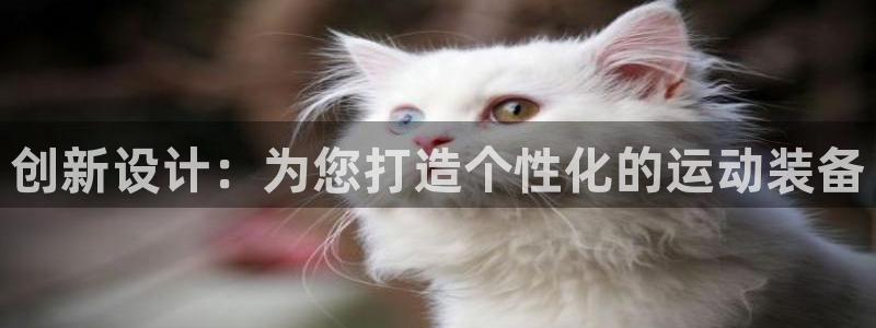 意昂平台体育：创新设计：为您打造个性化的运动装备