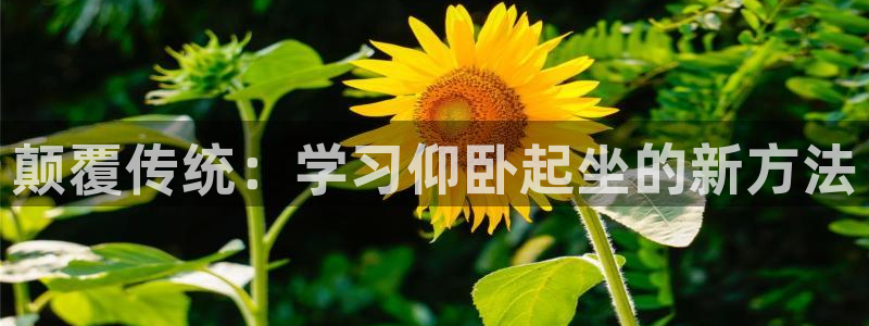 意昂4集团简介:颠覆传统:学习仰卧起坐的新方法