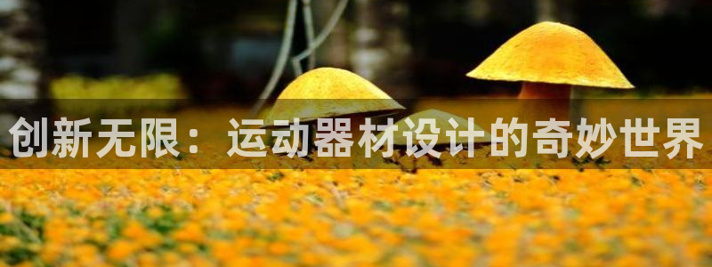 意昂体育4娱乐:创新无限:运动器材设计的奇妙世界