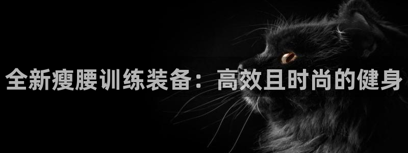 意昂4集团logo：全新瘦腰训练装备：高效且时尚的健