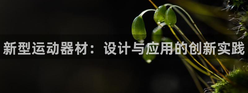 意昂4娱乐首页官网下载：新型运动器材：设计与应用的创新实践