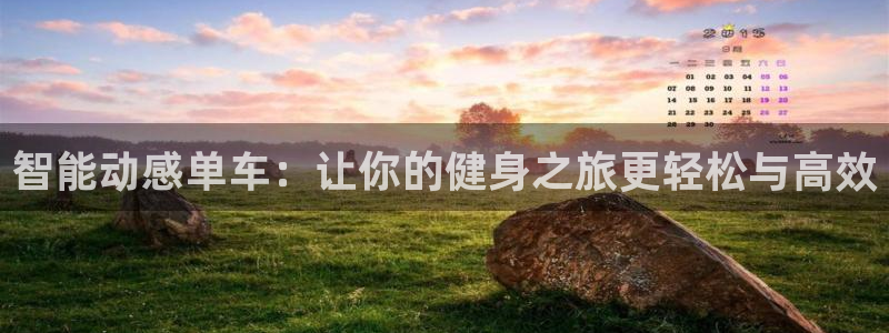 意昂4娱乐网站：智能动感单车：让你的健身之旅更轻松与高效