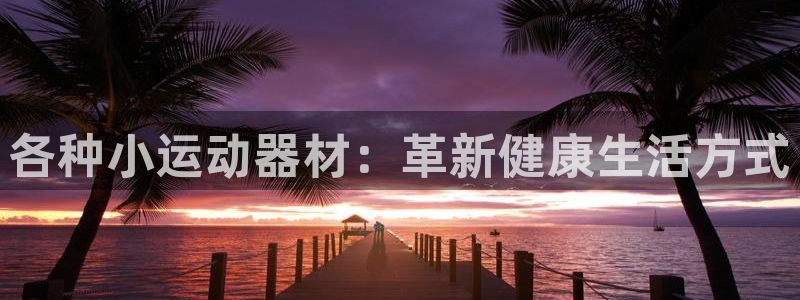 意昂体育4平台假的吗是真的吗吗：各种小运动器材：革新健康生活