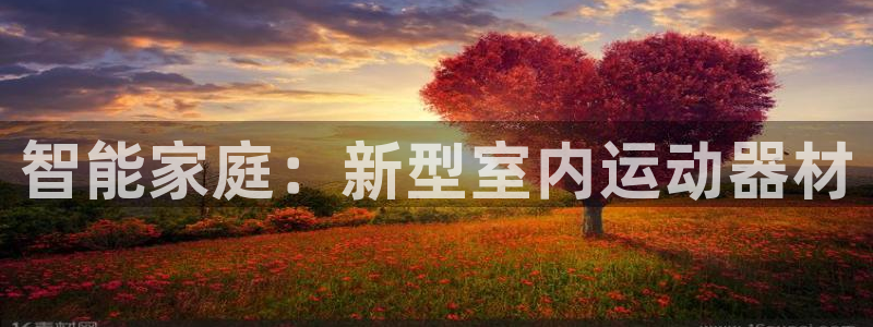 意昂4开户:智能家庭:新型室内运动器材