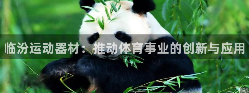 意昂4开户：临汾运动器材：推动体育事业的创新与应用