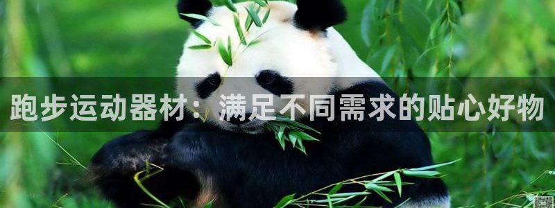 德国意昂4集团：跑步运动器材：满足不同需求的贴心好物