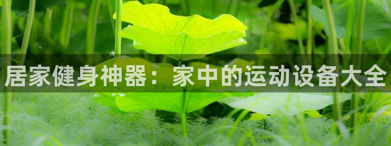 意昂体育4平台注册要钱吗：居家健身神器：家中的运动设备大全