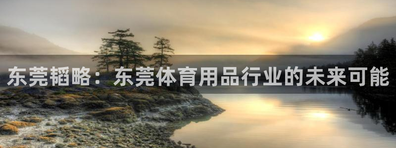 意昂体育4平台：东莞韬略：东莞体育用品行业的未来可能