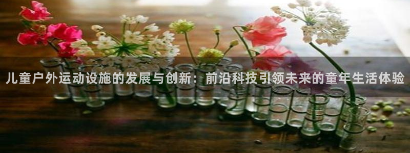 意昂体育4招商电话是多少：儿童户外运动设施的发展与创新：前沿