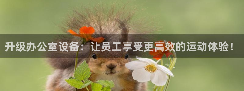 意昂4娱乐平台：升级办公室设备：让员工享受更高效的运