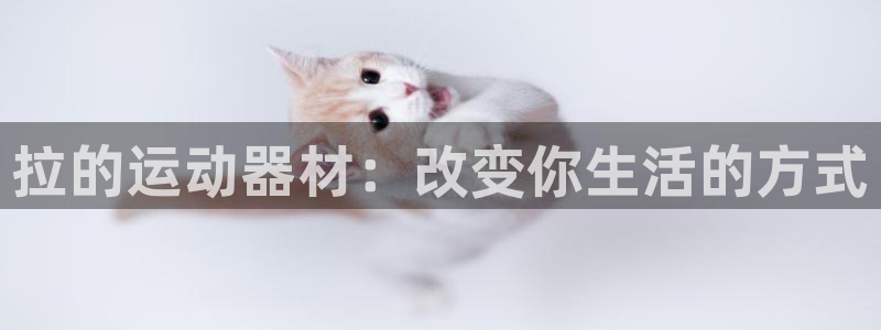 德国意昂4集团：拉的运动器材：改变你生活的方式