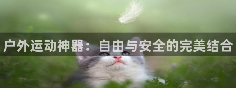 意昂体育4招商电话地址是多少：户外运动神器：自由与安全的完美