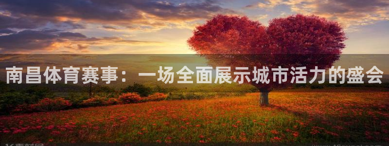 意昂4集团logo：南昌体育赛事：一场全面展示城市活