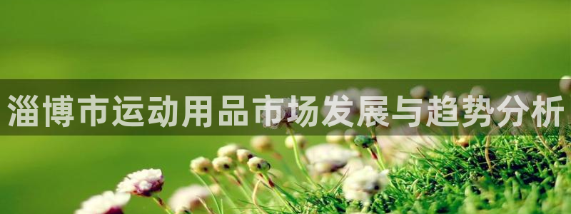 意昂体育4平台注册要钱吗是真的吗：淄博市运动用品市场