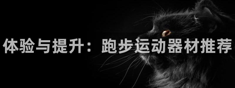 意昂体育4注册：体验与提升：跑步运动器材推荐