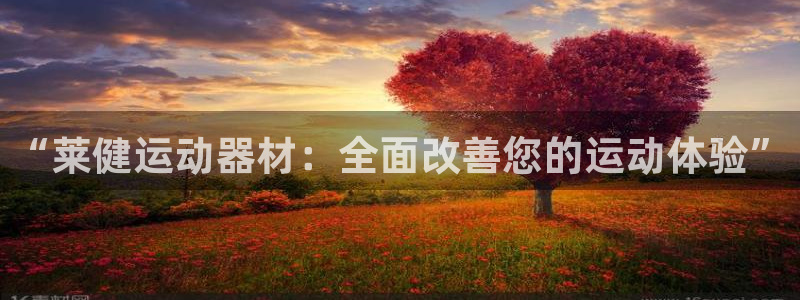 意昂体育4注册：“莱健运动器材：全面改善您的运动体验