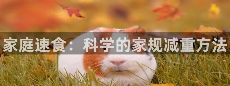 意昂4科技：家庭速食：科学的家规减重方法