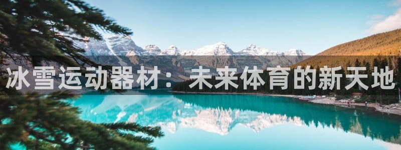 意昂体育4平台APP：冰雪运动器材：未来体育的新天地