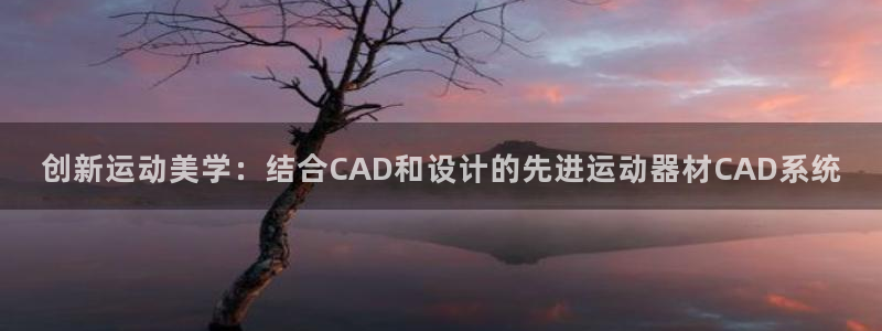 意昂体育4招商：创新运动美学：结合CAD和设计的先进运动器材