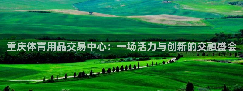 意昂体育4平台假的吗是真的吗：重庆体育用品交易中心：一场活力