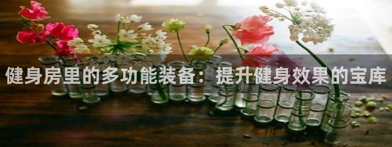 意昂体育4招商电话号码：健身房里的多功能装备：提升健