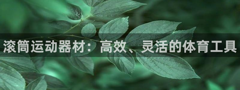 意昂4娱乐网站：滚筒运动器材：高效、灵活的体育工具