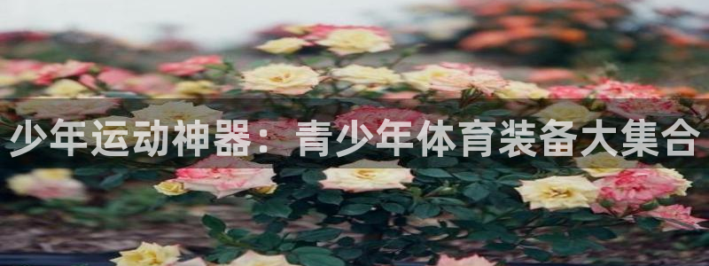 意昂4代理：少年运动神器：青少年体育装备大集合