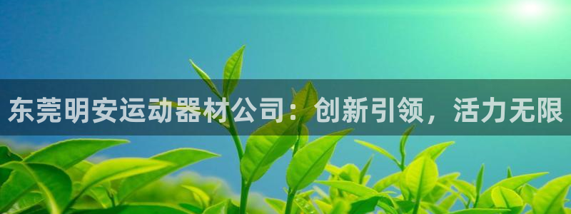 意昂体育4平台注册流程图