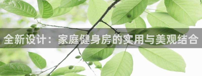 意昂体育4平台是正规平台吗安全吗：全新设计：家庭健身房的实用