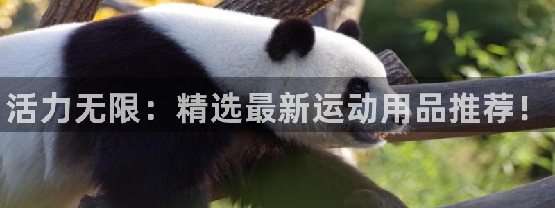 意昂体育4平台注册要钱吗安全吗：活力无限：精选最新运动用品推