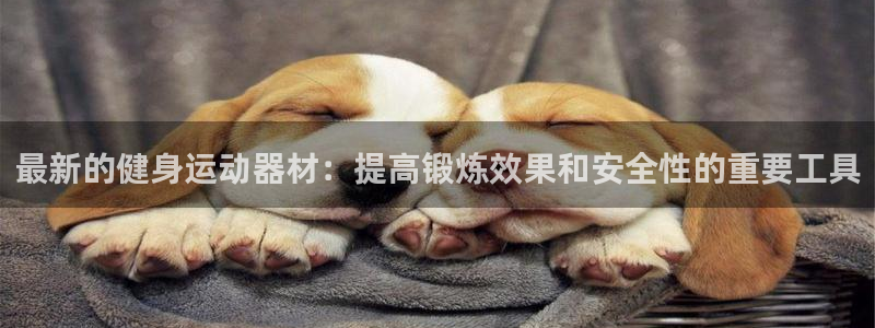 意昂4娱乐网站：最新的健身运动器材：提高锻炼效果和安