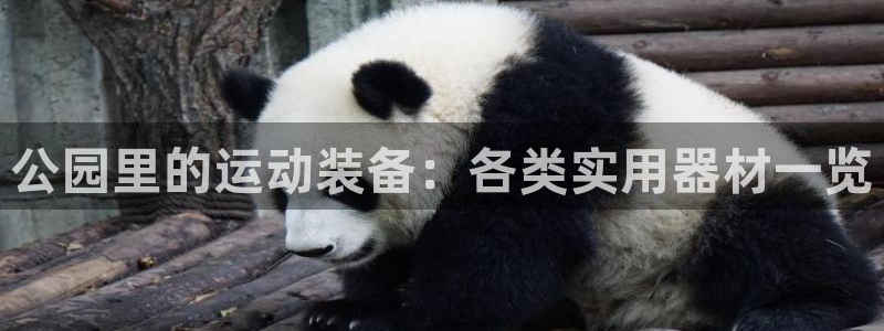 意昂体育4娱乐：公园里的运动装备：各类实用器材一览