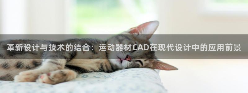意昂体育4平台：革新设计与技术的结合：运动器材CAD