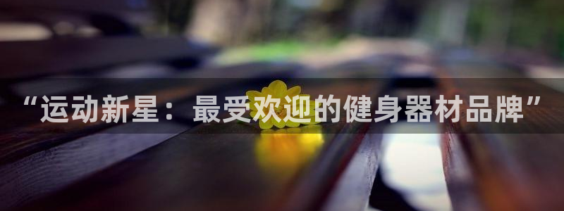 意昂4五金厂：“运动新星：最受欢迎的健身器材品牌”