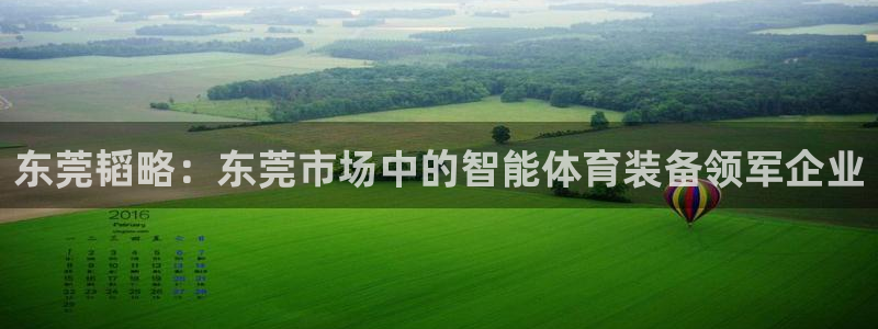 意昂4官方：东莞韬略：东莞市场中的智能体育装备领军企