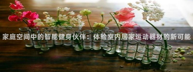 意昂体育4招商电话是多少：家庭空间中的智能健身伙伴：