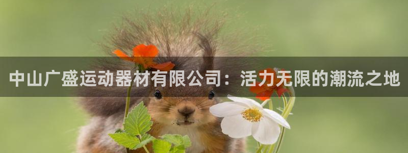 意昂体育4招商电话号码是多少号：中山广盛运动器材有限