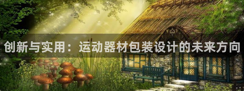 意昂4五金厂：创新与实用：运动器材包装设计的未来方向