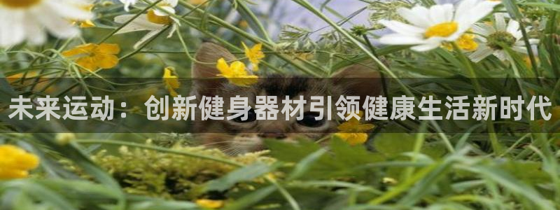 意昂体育4注册：未来运动：创新健身器材引领健康生活新