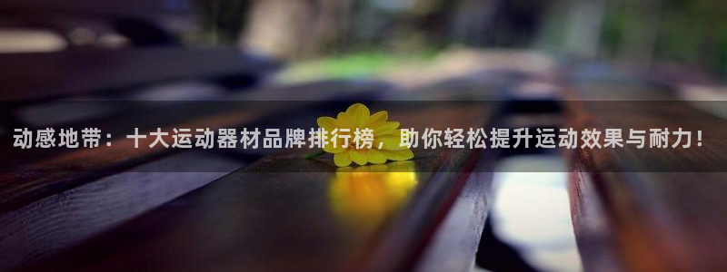 意昂4娱乐下载：动感地带：十大运动器材品牌排行榜，助你轻松提