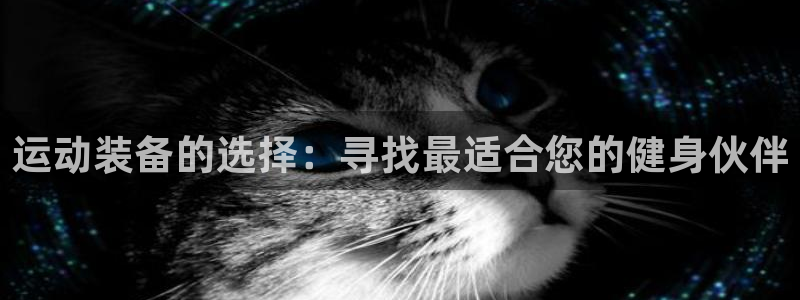 意昂体育4招商电话号码是多少啊：运动装备的选择：寻找最适合您