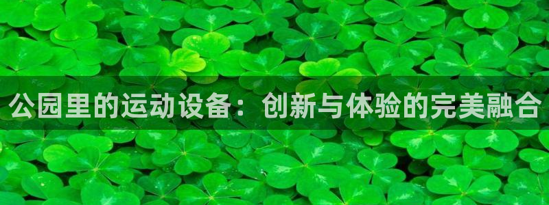 意昂体育4平台假的吗是真的吗吗：公园里的运动设备：创新与体验