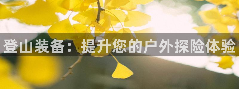 意昂4科技