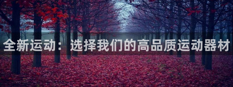 意昂4五金厂：全新运动：选择我们的高品质运动器材